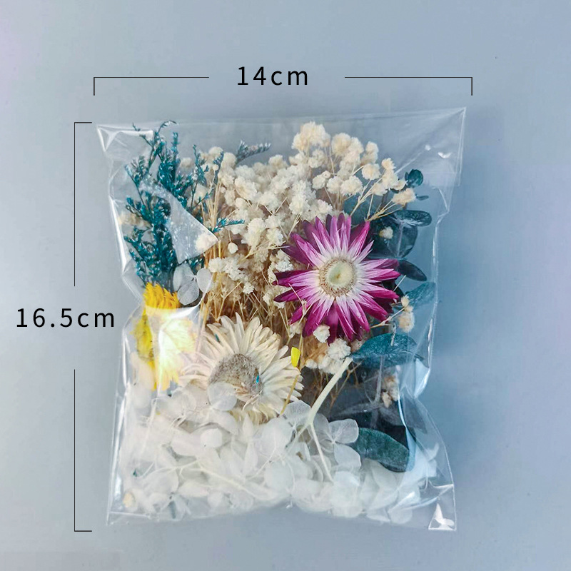 1pack Multifarious Dried Flowe - Craft Embellishments review and price