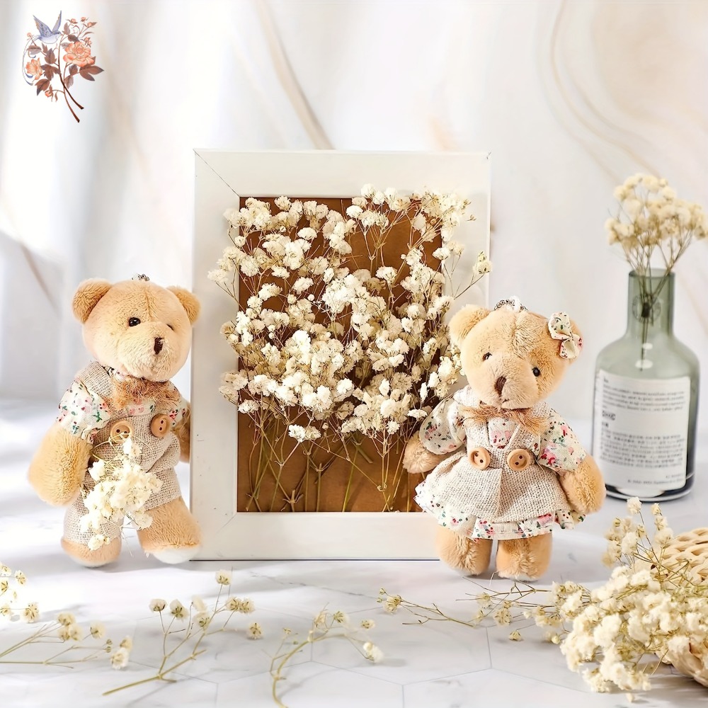 100pcs Mini Dried Baby's Breat - Craft Embellishments review and price